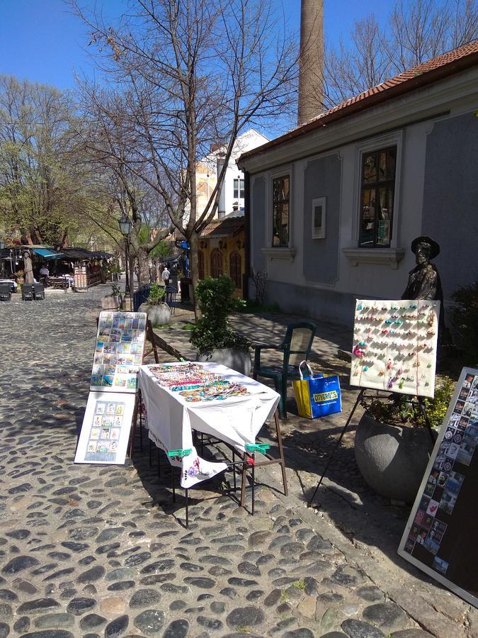 Bohemian Dawn Apartment Belgrad Zewnętrze zdjęcie